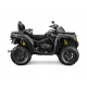 CFMOTO CFORCE 1000 (X10 EPS)