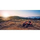 CFMOTO CFORCE 1000 (X10 EPS)