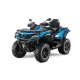 CFMOTO CFORCE 1000 (X10 EPS)