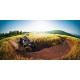 CFMOTO CFORCE 850XC (X8 MAX HO EPS)