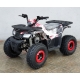 Comman Hunter Scrambler 150cc