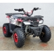 Comman Hunter Scrambler 150cc-цена