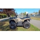 LINHAI ATV PATHFINDER F320 EFI LINHAI ATV PATHFINDER F320 EFI