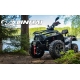 Linhai LH300-D EFI Promax Linhai LH300-D EFI Promax-цена