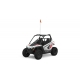 Polaris RZR 200 EFI-цена