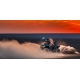 CFMOTO CFORCE 850 TOURING Base