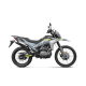 CFMOTO 230 LITE DUAL CFMOTO 230 LITE DUAL