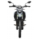 CFMOTO 250 LITE DUAL (інжектор, ABS)-купить