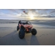 CFMOTO ZFORCE Z10