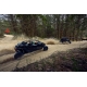 CFMOTO ZFORCE Z10-4 (амортизатори GOLD Desert Lion) CFMOTO ZFORCE Z10-4 (амортизатори GOLD Desert Lion)