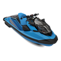 BRP SEA-DOO RXP-X 325 Premium
