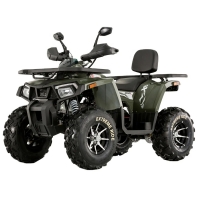 Comman ATV Shark 200