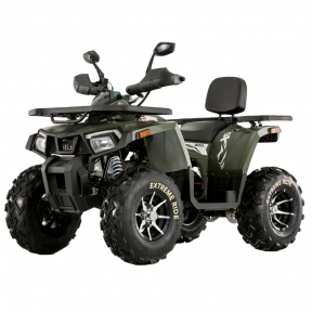 Comman ATV Shark 200