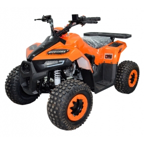 Comman B5 Mudhawk 110cc