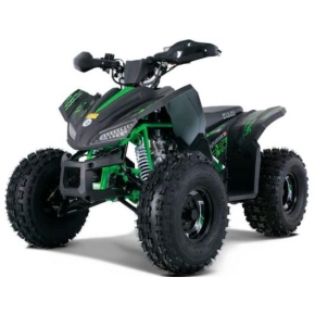 Comman Rival 125cc