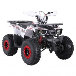 Forte Hunter 125