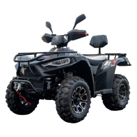 Linhai LH300-D EFI Promax