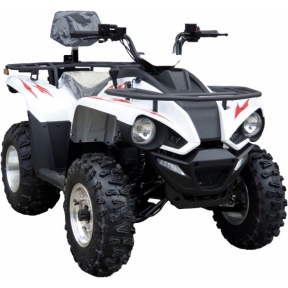 Linhai Z180