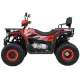 Spark SP200-11 NEW Spark SP200-11 NEW