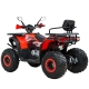Spark SP200-11 NEW Spark SP200-11 NEW