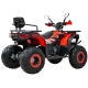 Spark SP200-11 NEW Spark SP200-11 NEW
