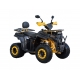 Spark SP200-4 Spark SP200-4