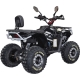 Spark APEX 150 Spark APEX 150