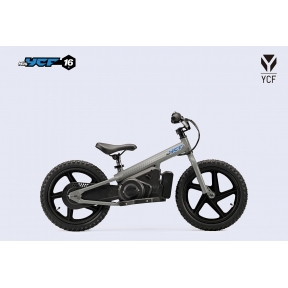 YCF MINI 16