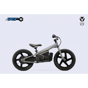 YCF MINI 16